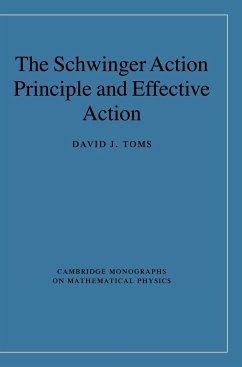 The Schwinger Action Principle and Effective Action - Toms, David J.