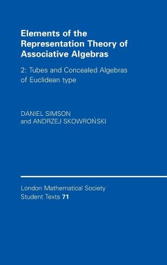 Elements of the Representation Theory of Associative Algebras - Simson, Daniel; Skowro¿ski, Andrzej