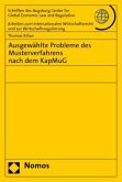 Ausgewählte Probleme des Musterverfahrens nach dem KapMuG