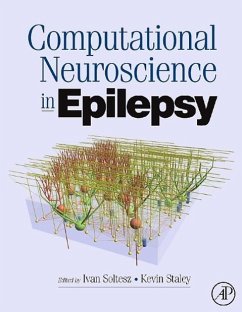 Computational Neuroscience in Epilepsy - Soltesz