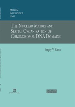 The Nuclear Matrix and Spatial Organization of Chromosomal DNA Domains - Razin, Sergey V.