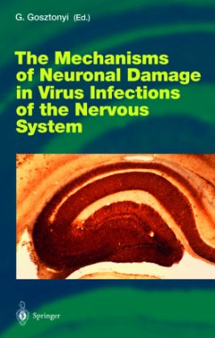 The Mechanisms of Neuronal Damage in Virus Infections of the Nervous System - Gosztonyi, Georg (ed.)