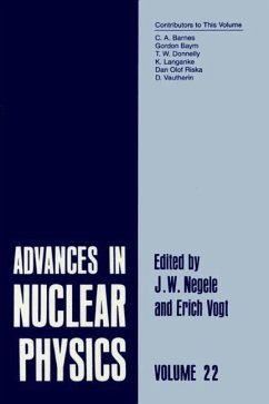 Advances in Nuclear Physics - Negele, J.W. / Vogt, Erich W. (Hgg.)