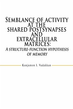 Semblance of activity at the shared postsynapses and extracellular matrices