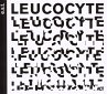 Leucocyte - Bild 1