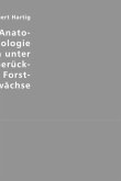 Lehrbuch der Anatomie und Physiologie der Pflanzen unter besonderer Berücksichtigung der Forstgewächse Lehrbuch der Anatomie und Physiologie der Pflanzen unter besonderer Berücksichtigung der Forstgewächse