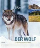 Der Wolf