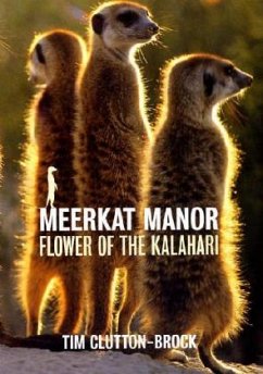 Cover Meerkat Manor