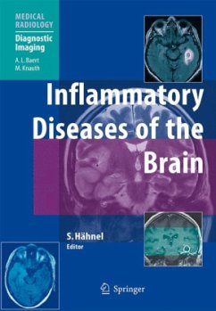 Cover Inflammatory Diseases of the Brain