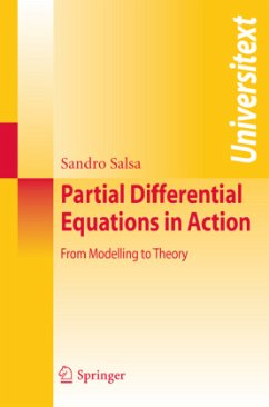 Partial Differential Equations in Action - Salsa, S.