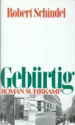 Gebürtig - Schindel, Robert