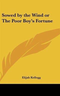 Sowed by the Wind or The Poor Boy's Fortune - Kellogg, Elijah