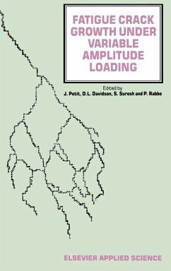 Fatigue Crack Growth Under Variable Amplitude Loading - Petit