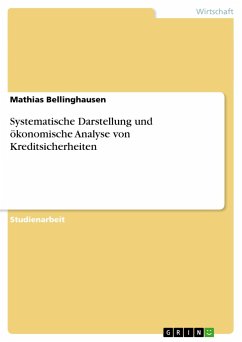 Systematische Darstellung und ökonomische Analyse von Kreditsicherheiten - Bellinghausen, Mathias