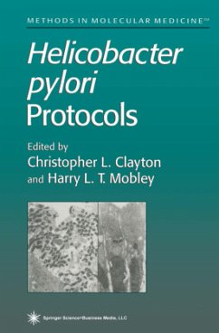 Helicobacter Pylori Protocols - Clayton, Christopher L. / Mobley, Harry L. T. (eds.)
