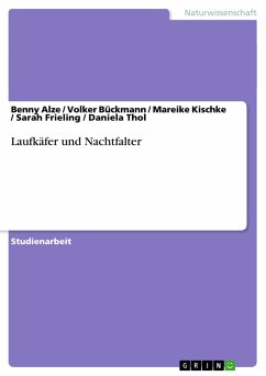 Laufkäfer und Nachtfalter - Alze, Benny; Bückmann, Volker; Thol, Daniela; Frieling, Sarah; Kischke, Mareike
