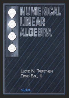 Numerical Linear Algebra - Trefethen, Lloyd N.; Bau, David