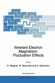 Itinerant Electron Magnetism: Fluctuation Effects