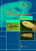 Atlante di Anatomia Macroscopica dei Vertebrati