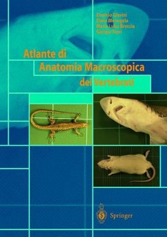 Atlante di Anatomia Macroscopica dei Vertebrati - Giavini, E.;Menegola, E.;Broccia, M. L.