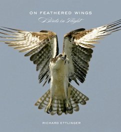 On Feathered Wings - Ettlinger, Richard