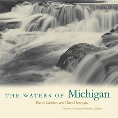 The Waters of Michigan - Lubbers, David; Dempsey, Dave