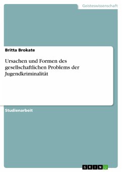 Ursachen und Formen des gesellschaftlichen Problems der Jugendkriminalität - Brokate, Britta