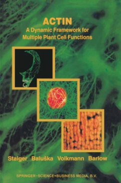 Actin: A Dynamic Framework for Multiple Plant Cell Functions - Staiger