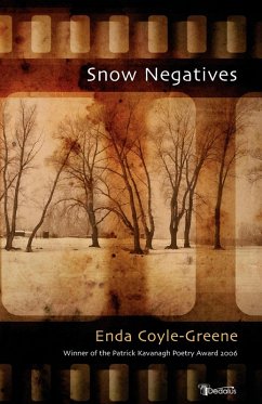 Cover Snow Negatives