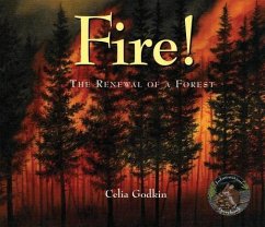 Fire! - Godkin, Celia