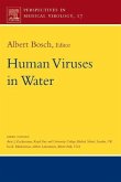 Human Viruses in Water