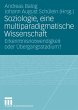 Soziologie, eine multiparadigmatische... - Bild 1