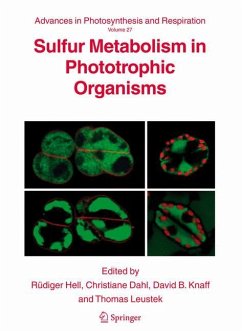 Sulfur Metabolism in Phototrophic Organisms - Hell, Rüdiger / Dahl, Christiane / Knaff, David / Leustek, Thomas (eds.)