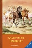 Galopp in die Freiheit