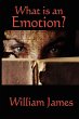 What Is an Emotion? - Bild 1