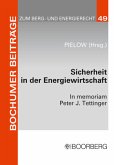 Sicherheit in der Energiewirtschaft