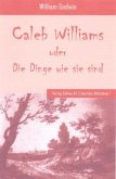 Caleb Williams oder die Dinge wie sie sind