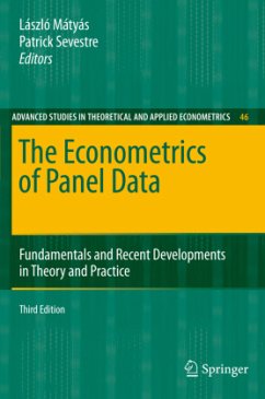 The Econometrics of Panel Data - Mátyás, László / Sevestre, Patrick (eds.)