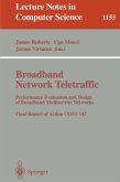 Broadband Network Traffic