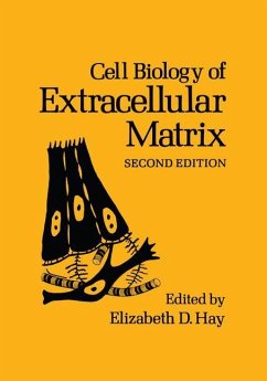 Cell Biology of Extracellular Matrix - Hay, E.D. (Hrsg.)