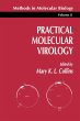 Practical Molecular Virology - Bild 1