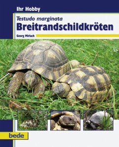Breitrandschildkröten - Mirlach, Georg