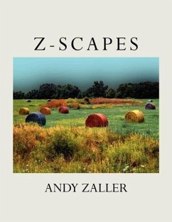 Z-Scapes - Zaller, Andy