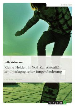 Kleine Helden in Not? Zur Aktualität schulpädagogischer Jungenförderung - Ochmann, Julia