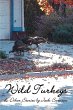 Wild Turkeys & Other Stories - Bild 1