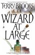 Wizard At Large - Bild 1