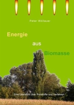 Energie aus Biomasse - Wöllauer, Peter