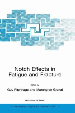 Notch Effects in Fatigue and Fracture - Pluvinage