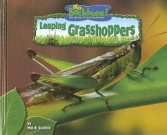 Leaping Grasshoppers - Goldish, Meish