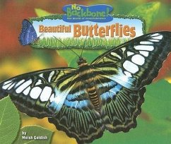 Beautiful Butterflies - Goldish, Meish